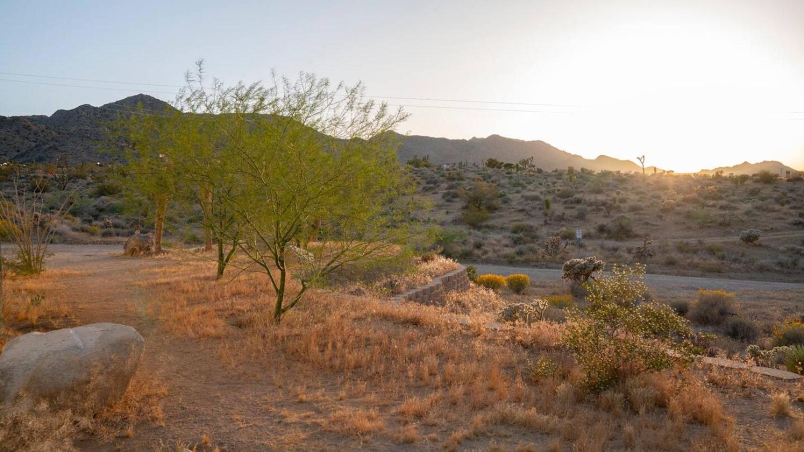 Experience Desert Serenity Gateway To Joshua Tree Exterior photo